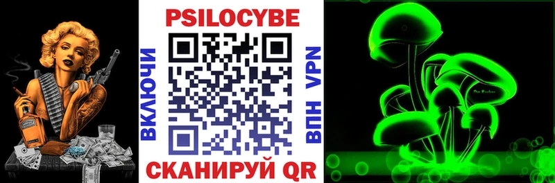 как найти   Власиха  Псилоцибиновые грибы мицелий 